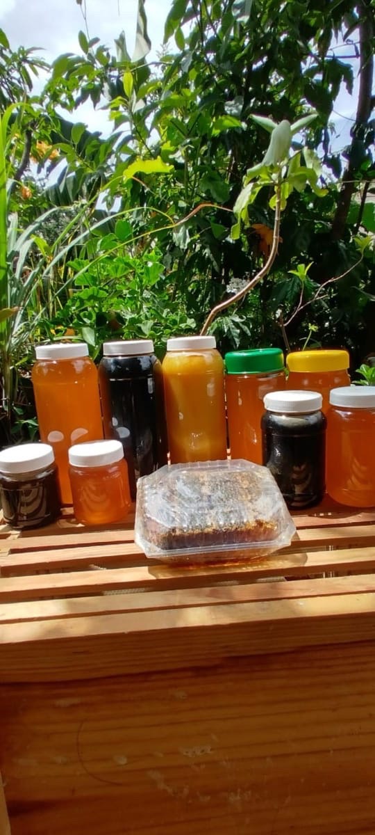 Frascos y botellas de miel Nayabi